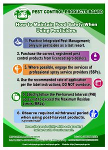 How to Maintain Food Safety