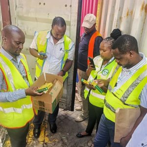 PCPB Officers confisticating tonnes of illegal smuggled pcps at the oloitoktok border point