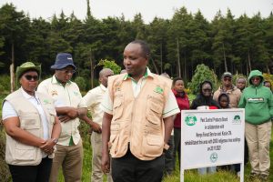 PCPB holding Tree planting activities